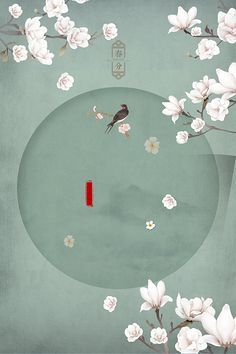 鲍鱼蜜芽永不失联现象